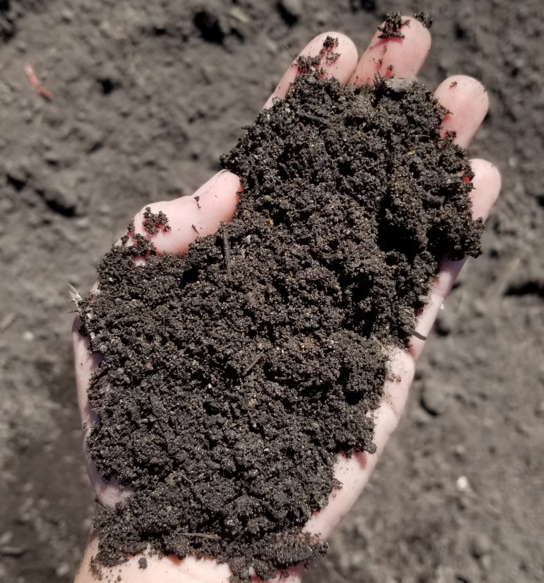 Soil